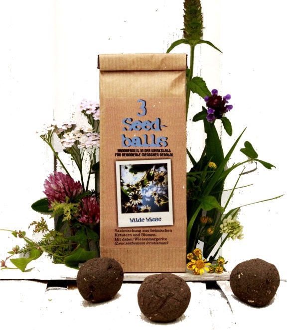 wildewiese3