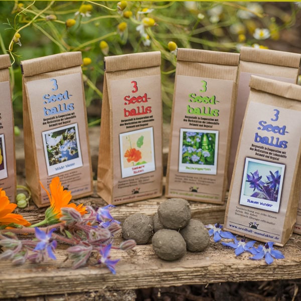 Seedball Maunfaktur
