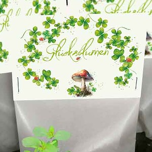 Glück mit Seedball 60 % Kopie