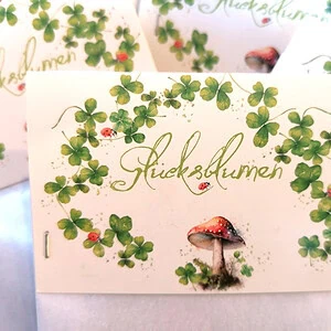 IMG_20250129_122150 wp