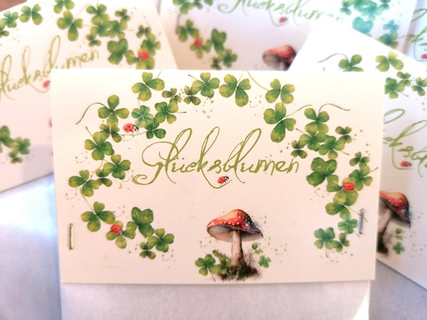 IMG_20250129_122150 wp