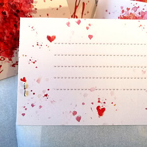 IMG_20250129_103038 wp