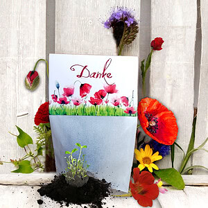 Seedballs als kleines Dankeschön oder als Mitgebsel