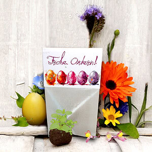 Seedball in österlicher Verpackung