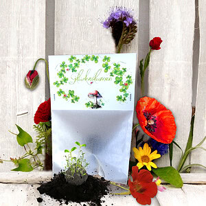 Seedball in der Tüte