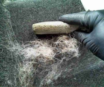 Removing pet hair and stains from car carpet mobile detailing carmel ny