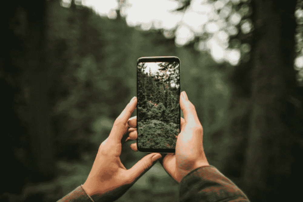 Top 5 Signs Your Phone Needs Professional Repair