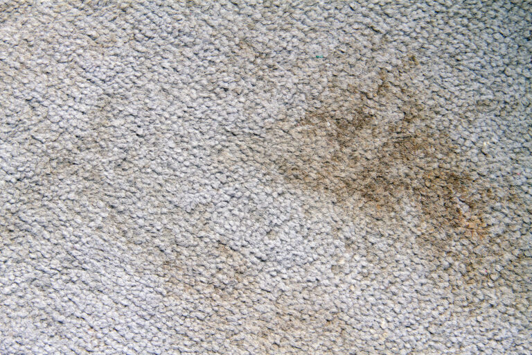 Commercial carpet with stains cleaned by professional carpet cleaning service.