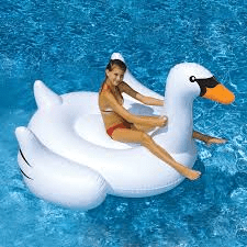 CYGNE GÉANT
