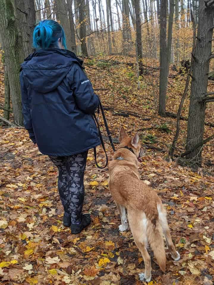 woman with blue hair, a blue jacket and black leggings standing in a forested area during autumn, leaves all over the ground, a german shepherd on leash beside her