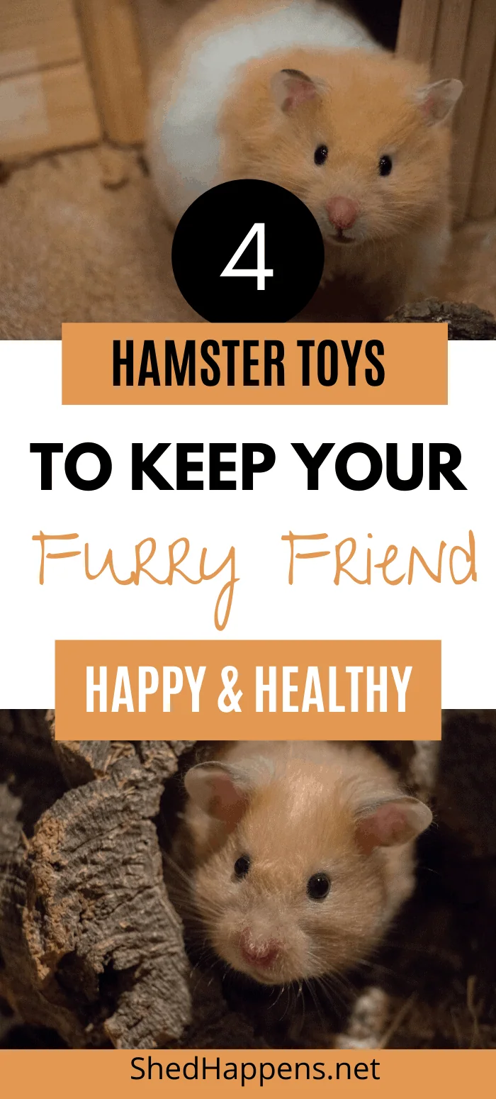 two pictures of light brown and white hamsters with the title 4 hamster toys to keep your furry friend happy & healthy