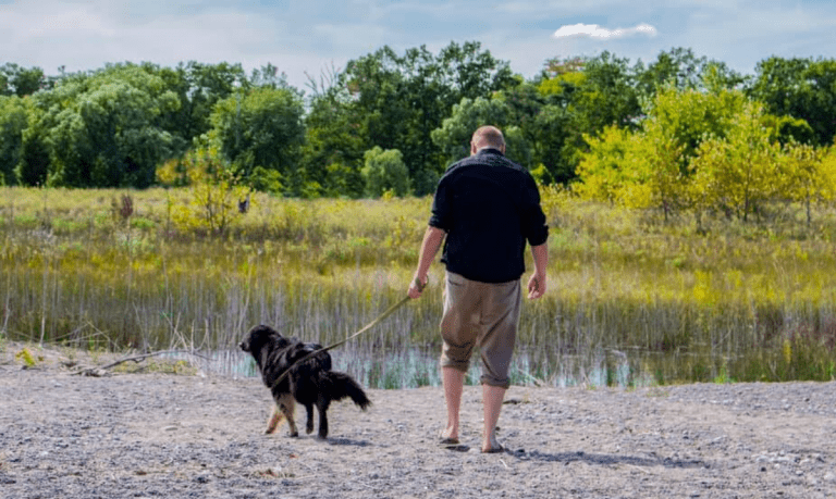 man wearing a black shirt, khaki shorts and flip flops walking a medium-sized black dog on the beach
