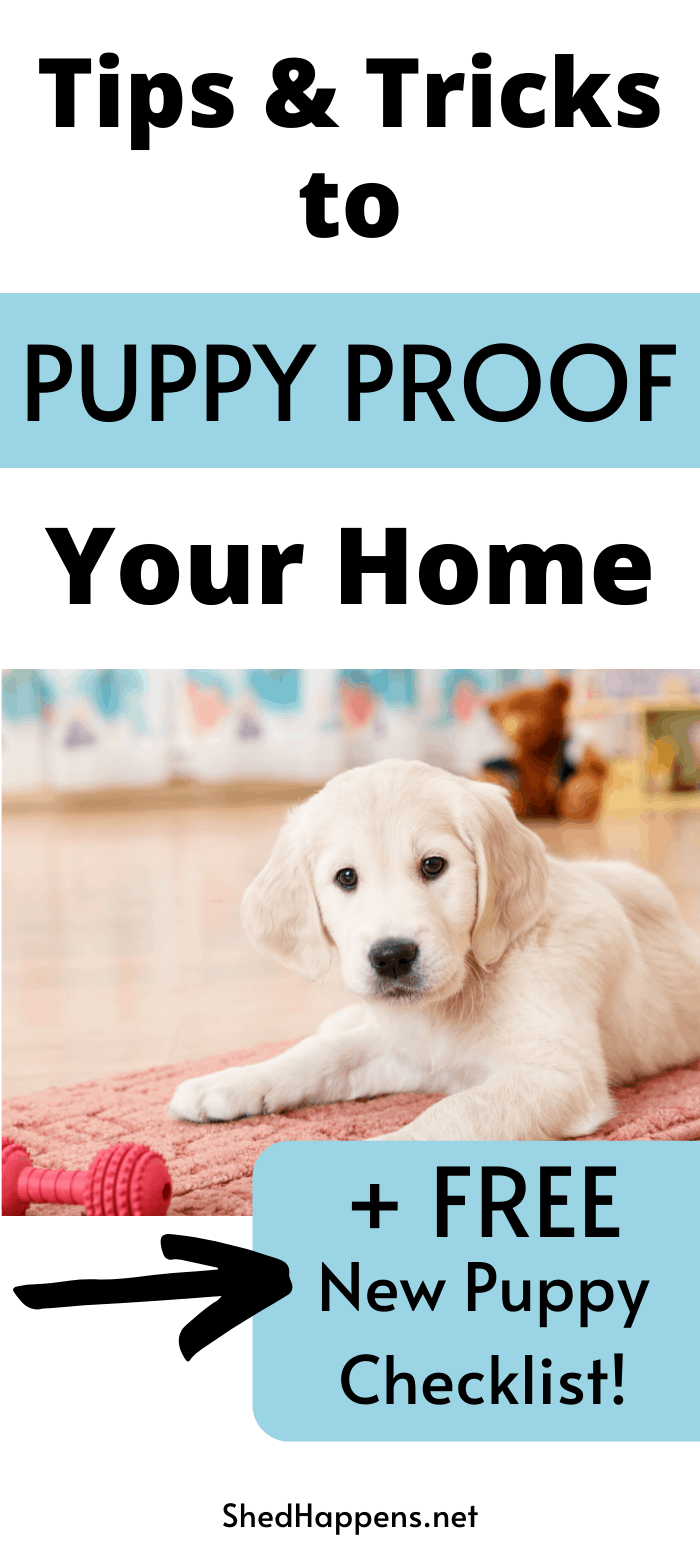 small golden puppy laying on a rug on the floor with a rubber toy in front of it and the title tips and tricks to puppy proof your home