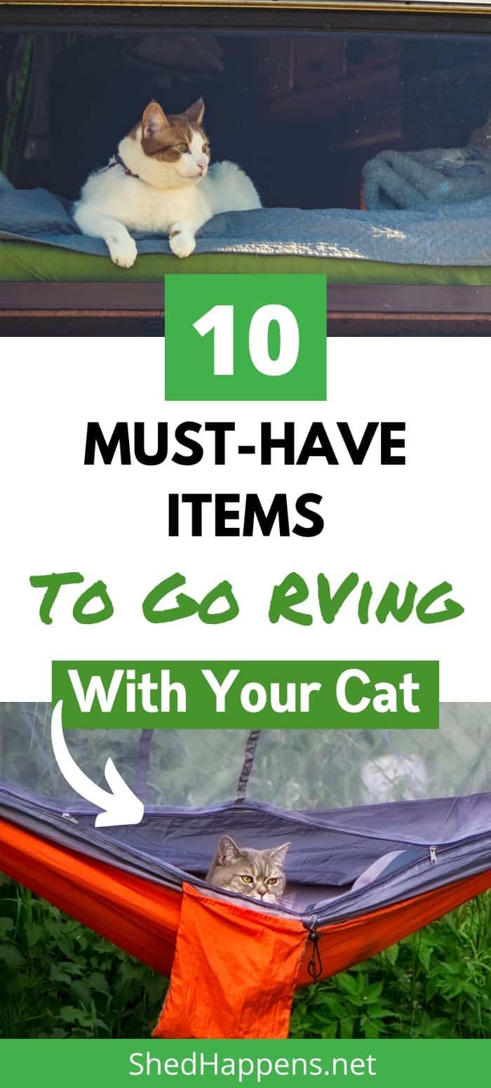 two images, one of a cat laying in an RV and the other of a cat in an orange hammock outside in the sun with the title 10 must-have items to go RV camping with your cat