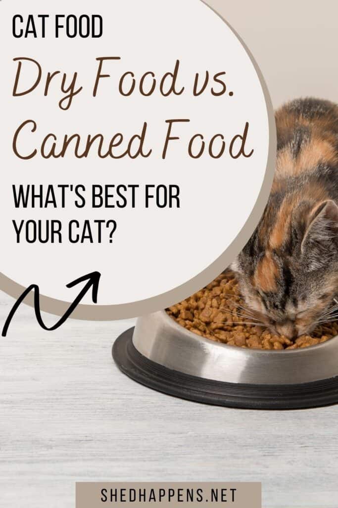 brown and grey tabby cat standing on a kitchen counter, eating out of a stainless steel cat dish with the text dry food vs canned food