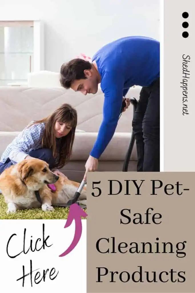 A light brown and white dog being brushed by a woman wearing jeans and a checkered shirt, while the dog is laying on a green carpet. The carpet is being vacuumed by someone wearing a blue shirt and black pants. With the text '5 DIY Pet-Safe Cleaning Products' in the corner.