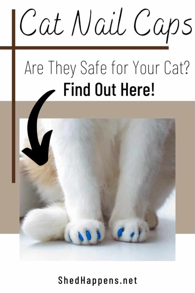 feet of an orange and white cat, sitting on a white surface, wearing blue nail caps with the text asking are nail caps safe for cats?