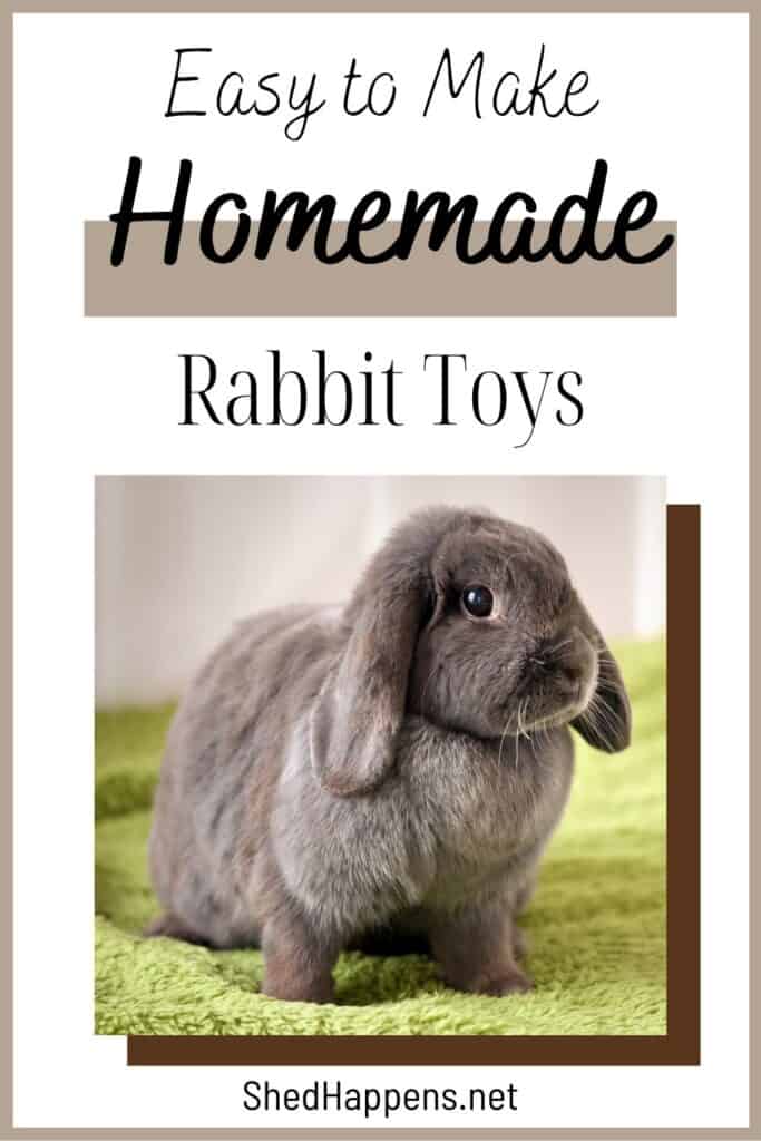 A grey lop-eared rabbit sitting on a lime green blanket in front of a plain beige backdrop. Text announces easy homemade rabbit toys. 