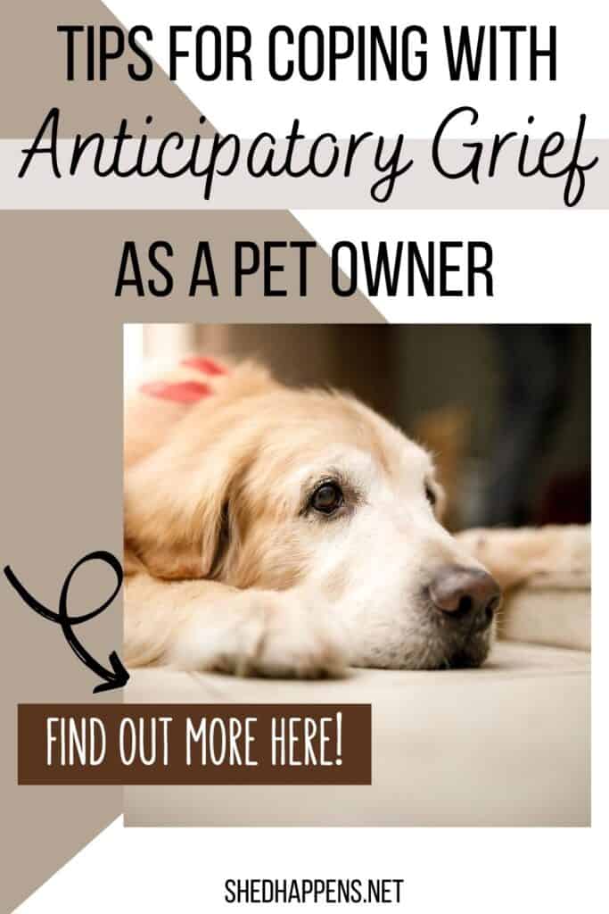 An older Golden Retriever dog is laying on a wooden surface, its head down between its legs in a way that gives off the impression of being sad. Text says tips for coping with anticipatory grief as a pet owner.
