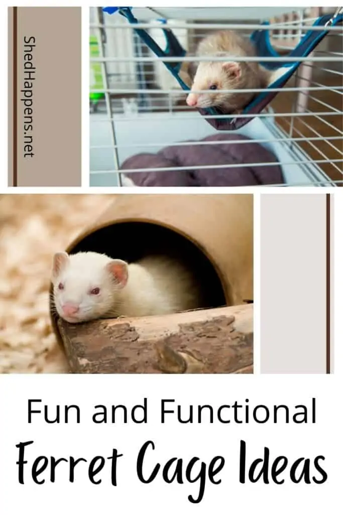 collage of photos with ferrets in a cage, text announces fun and functional ferret cage setup ideas