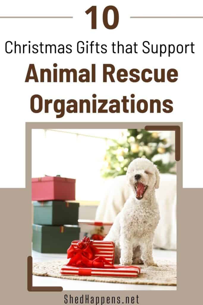 white dog sitting in living room with Christmas gifts, text states: 10 Christmas gifts that support animal rescue organizations