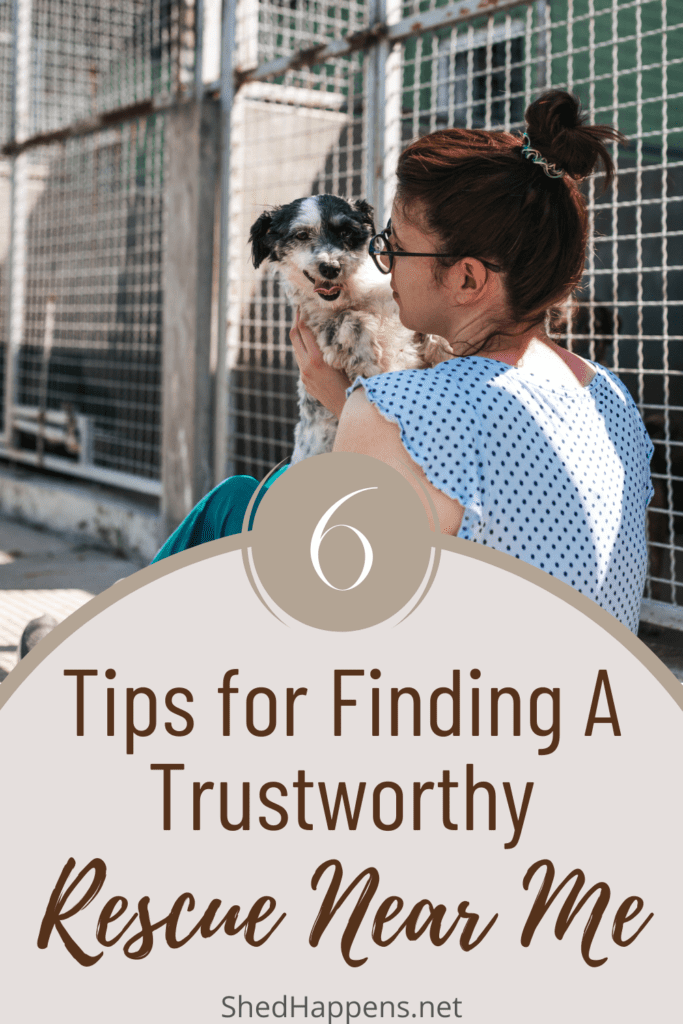 woman sitting in a shelter holding a dog pin | How to Find A Rescue Near Me