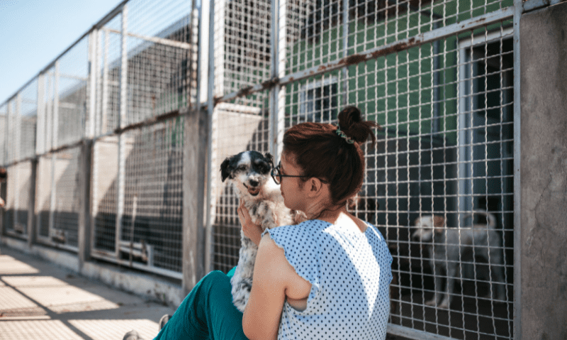 woman sitting in a shelter holding a dog | How to Find A Rescue Near Me