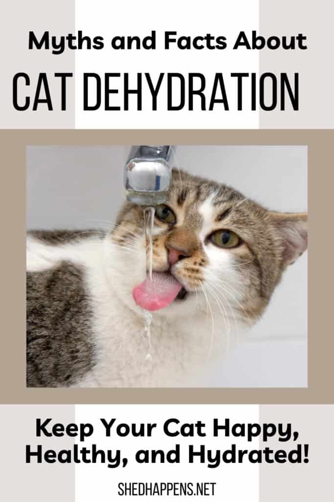 Pino do Pinterest sobre a desidratação de gatos com uma água potável de uma torneira em corrida | Como identificar (e tratar) a desidratação em gatos