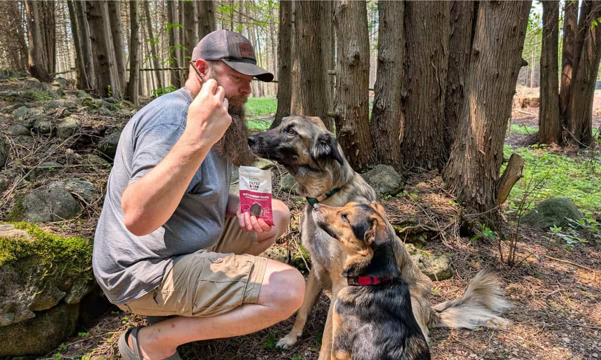 Homem agachado dando guloseimas a dois cães | Feito no Canadá: nossas guloseimas favoritas de cães e gatos canadenses