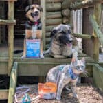 two dogs and a cat sitting on a wooden porch with bags of pet treats | Made in Canada: Our Favourite Canadian Dog & Cat Treats