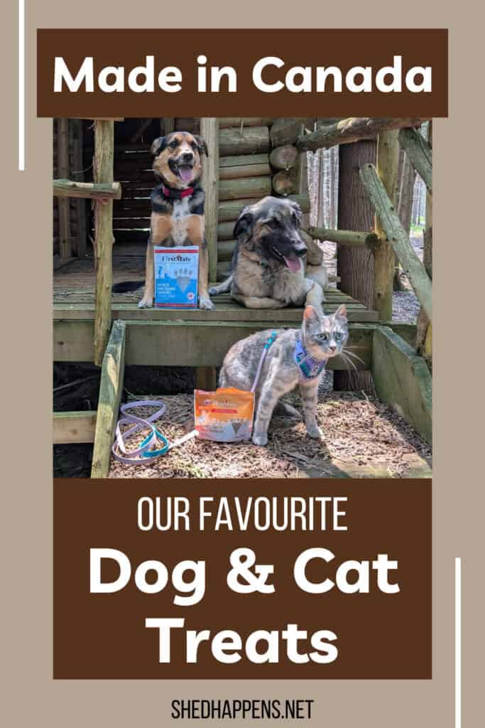 Dois cães e um gato sentado em uma varanda de madeira com sacos de petiscos em um gráfico do Pinterest | Feito no Canadá: nossas guloseimas favoritas de cães e gatos canadenses