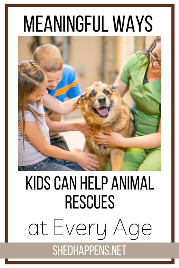 a pinterest graphic including two children petting a dog with an animal shelter volunteer | Meaningful Ways to Involve Your Children in Supporting Animal Rescue Efforts