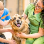 two children petting a dog with an animal shelter volunteer | Meaningful Ways to Involve Your Children in Supporting Animal Rescue Efforts
