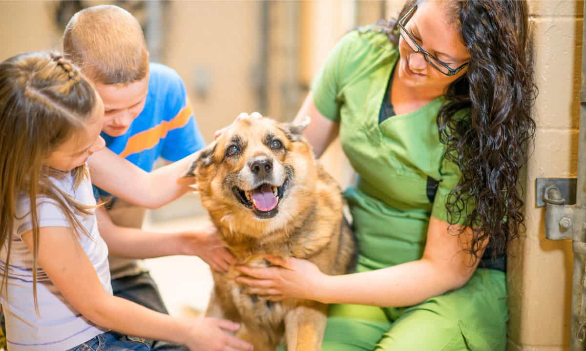 two children petting a dog with an animal shelter volunteer | Meaningful Ways to Involve Your Children in Supporting Animal Rescue Efforts