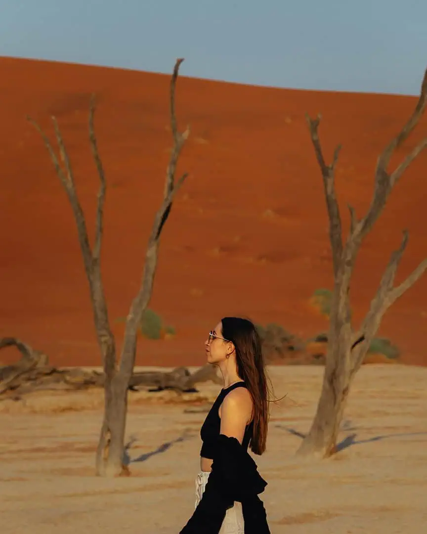 Namibia Road Trip Cost 2026: How Much We Really Spent