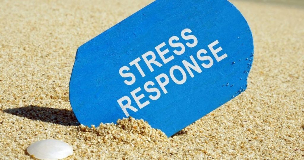 blue sign in sand with words stress response