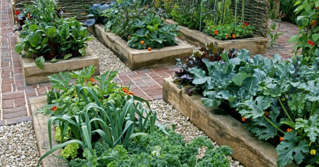 backyard vegetable gardens