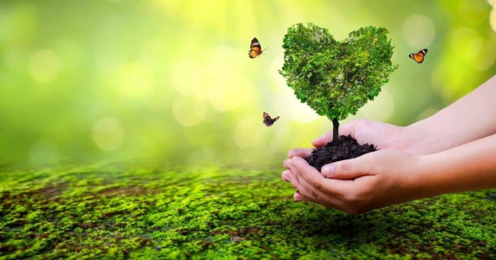 hand holding a heart tree with butterflies
