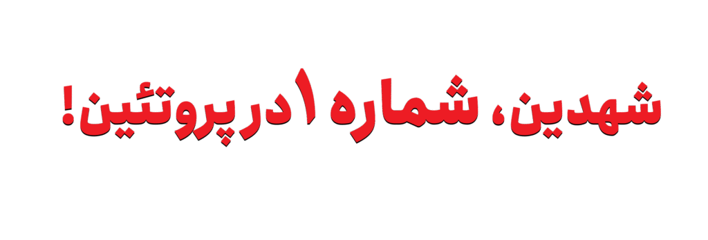 شهدین شماره 1 در پروتئین