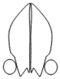 Subaru Outback Headlamp and Fog Lamp Kit