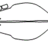 Subaru Ascent Headlamp and Fog Lamp Kit