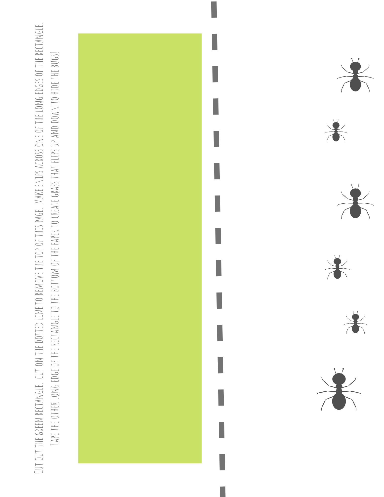 Beginner Scissor Cutting Pack - Image 4