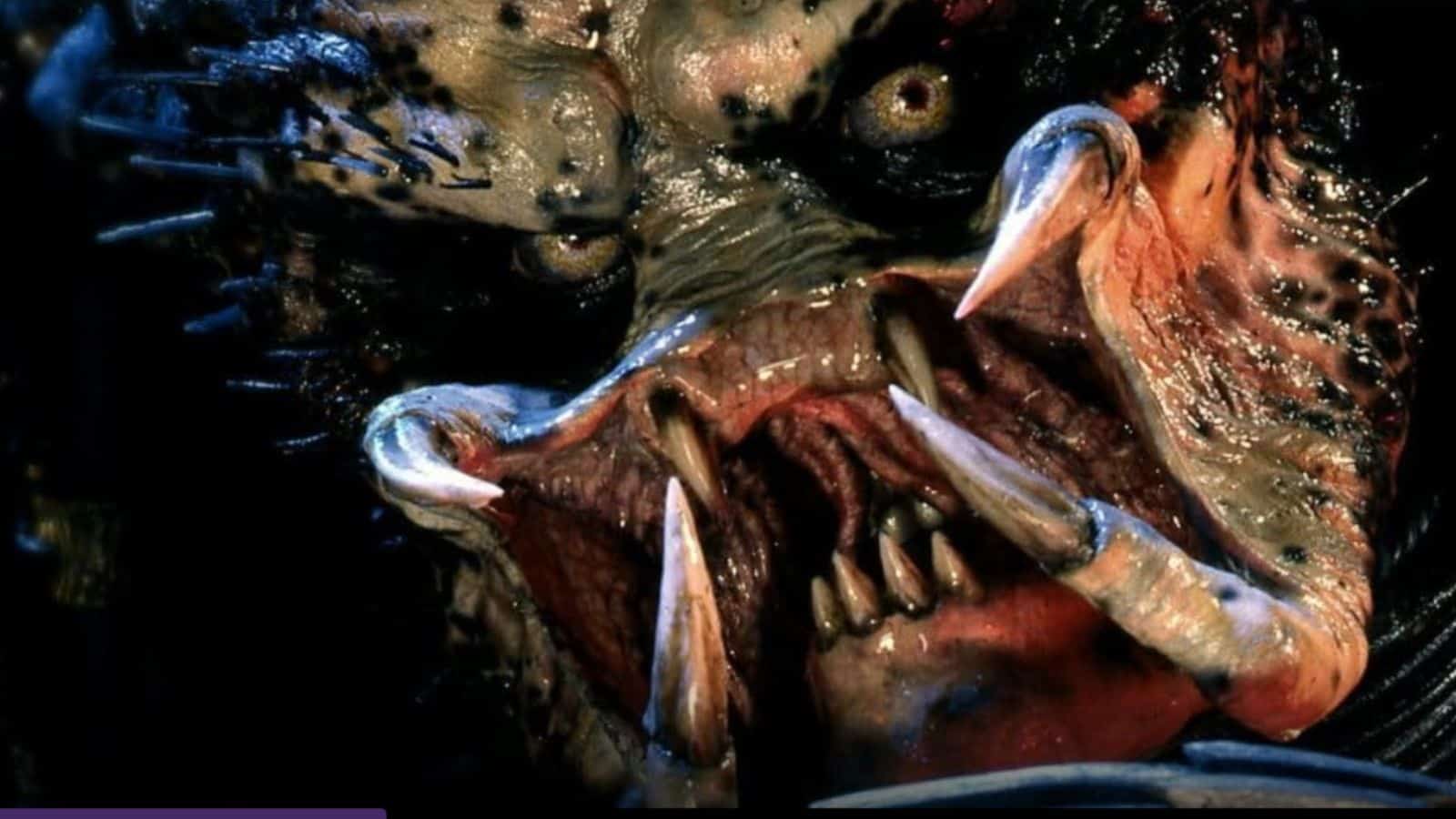 Predator 1