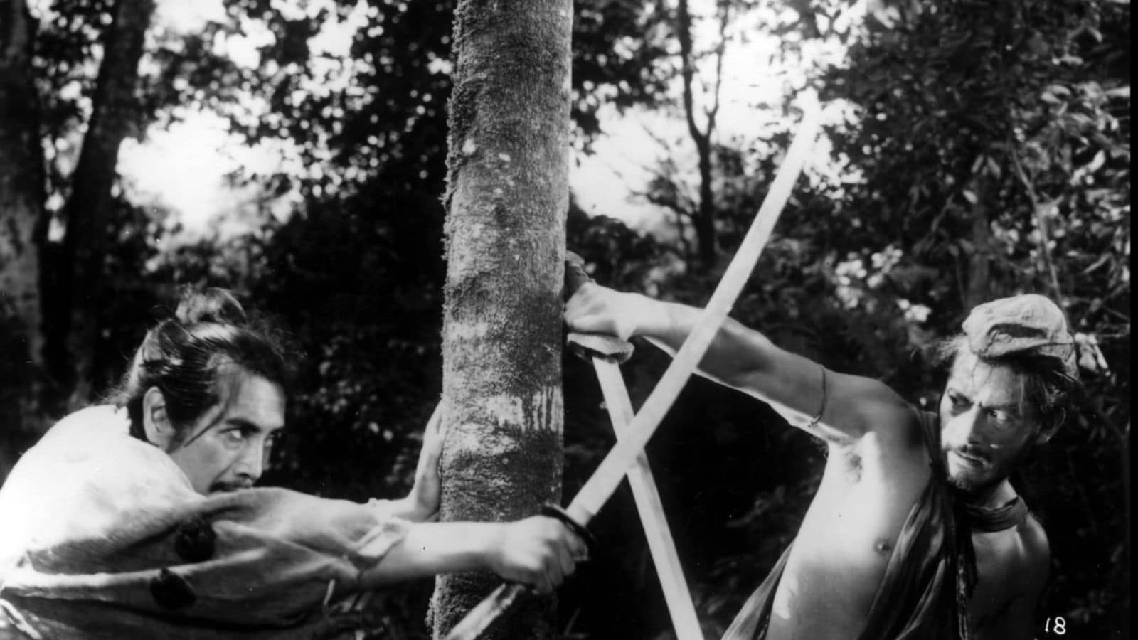 Rashomon