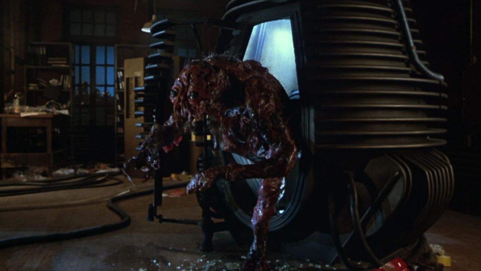The Fly 1