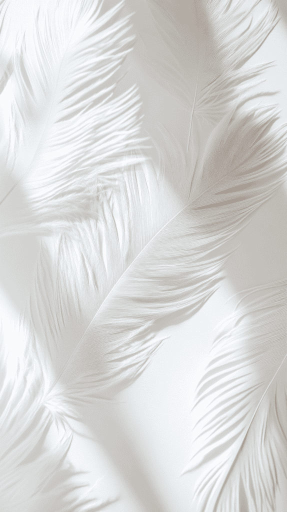 17 White Wallpaper Backgrounds Worth Putting on Your Phone 23 Delicate Feathers 3
