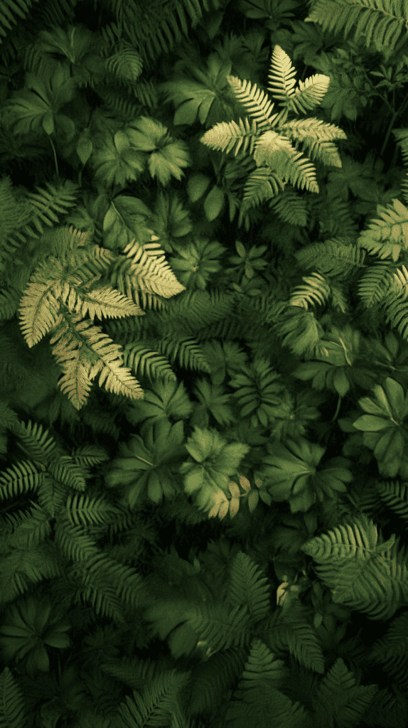 Enchanted Forest Floor