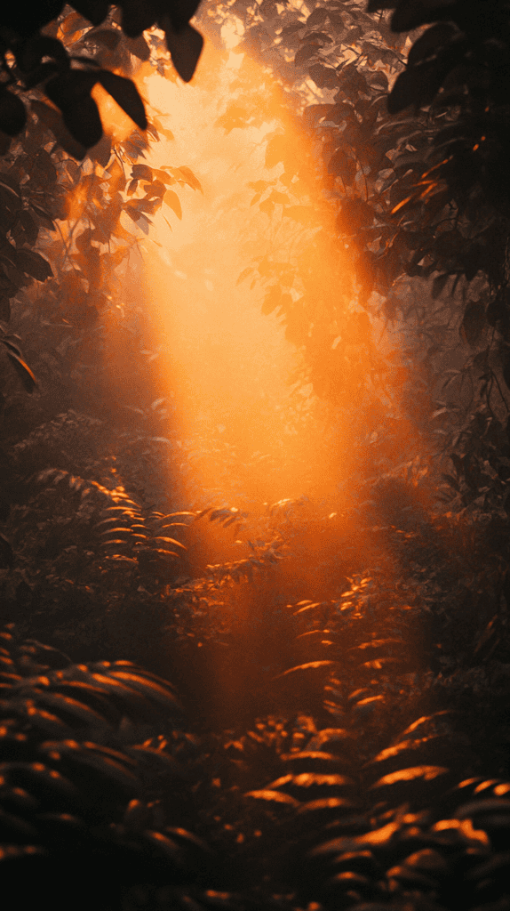 18 Orange Wallpapers to Refresh Your Phone's Look 42 Mystical Forest Glow