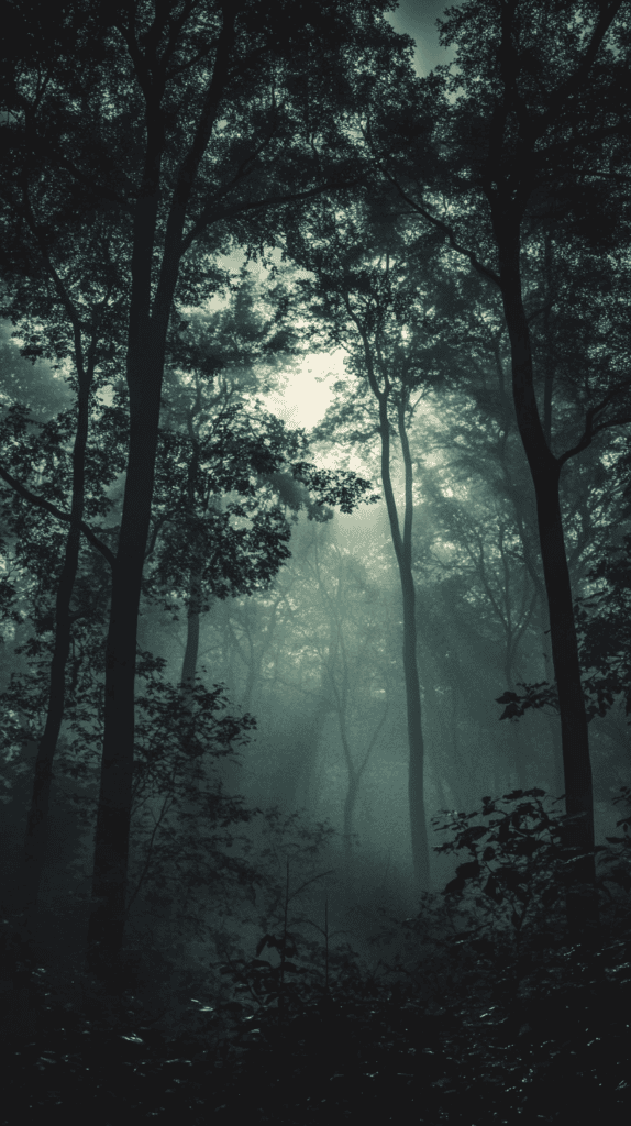 From Dusk Till Dawn: 21 Night-Inspired Wallpapers That Will Illuminate Your Phone 11 Mystical Forest at Midnight 2