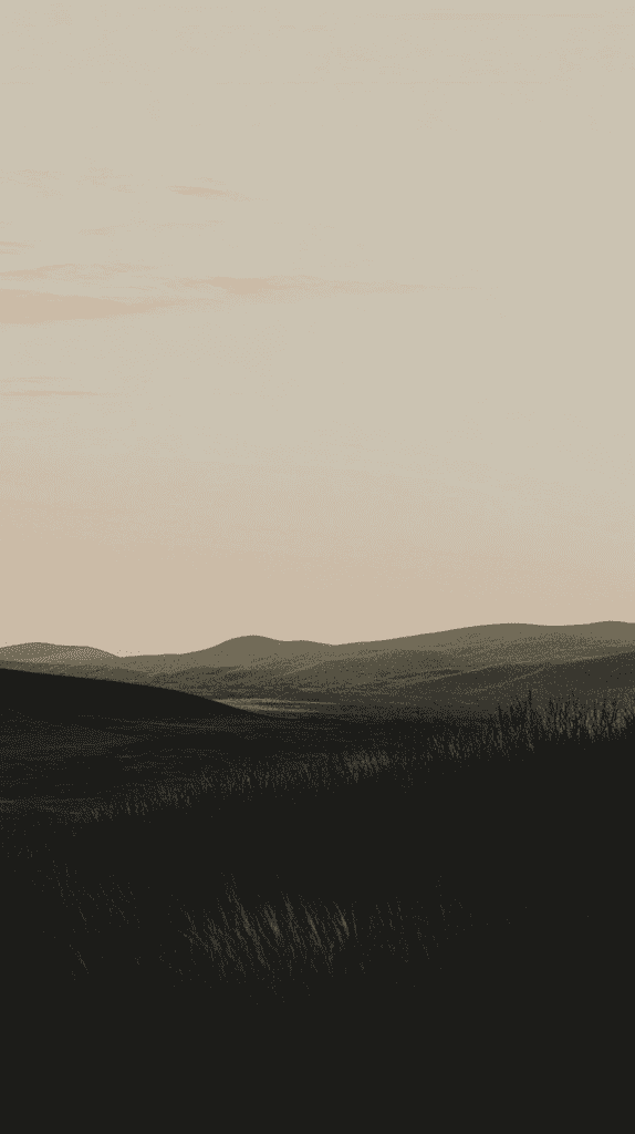 Is Your Phone Too Bright? Discover 20 Dark Wallpapers to Tone It Down 35 Twilight Desert Silhouette